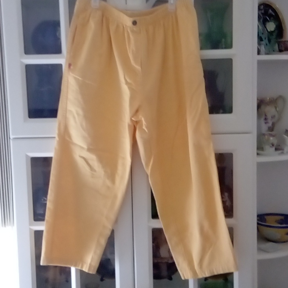 Plus size pants